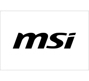 Certyfikat - Partner MSI