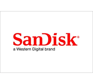Certyfikat - Partner SanDisk