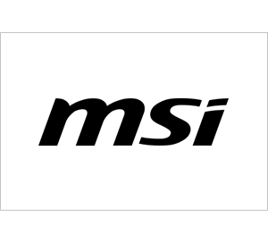 Certyfikat - Partner MSI