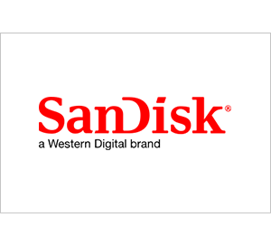 Certyfikat - Partner SanDisk